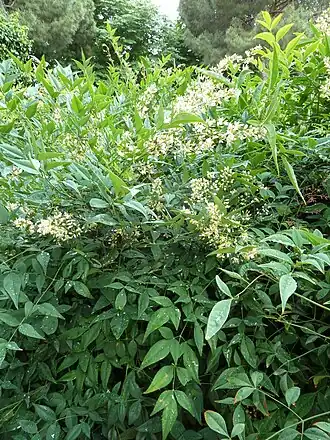 alternativní popis obrázku chybí