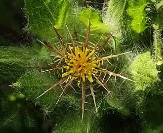 alternativní popis obrázku chybí