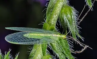 alternativní popis obrázku chybí