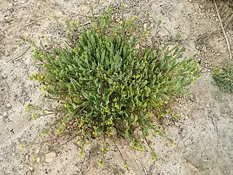 alternativní popis obrázku chybí