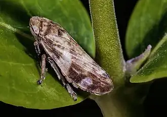 alternativní popis obrázku chybí