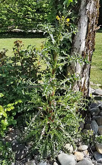 alternativní popis obrázku chybí