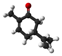 Model molekuly (R)-karvonu