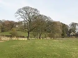 Hadriánův val poblíž farmy Planetrees