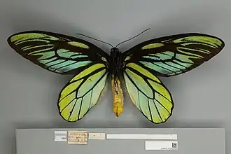 popis obrázku chybí