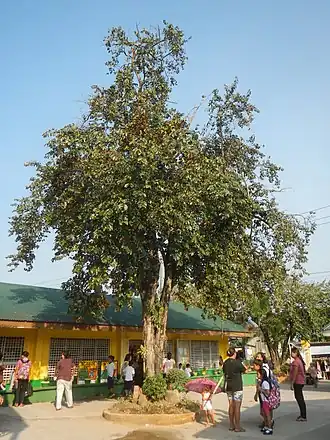 alternativní popis obrázku chybí