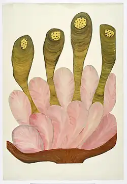 Pocta Picassovi, tempera a tuš, 60. léta