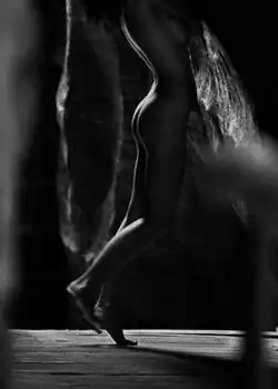 Adolf Zika: In the shadow of light, low key, 2010