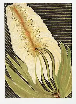 Nekonečný květ, tempera, pastel a tuš, 60. léta