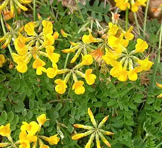 alternativní popis obrázku chybí