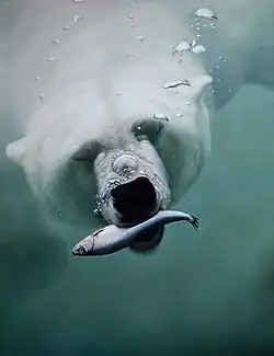 Blanka Valchářová, Lov, 2018