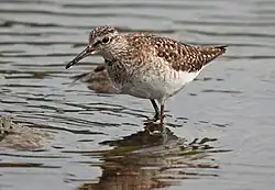 alternativní popis obrázku chybí