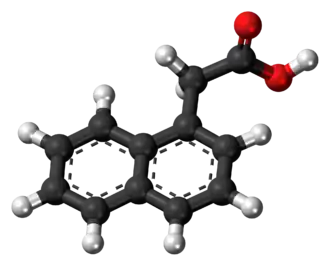 Kuličkový model NAA