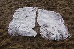 Vladimír Birgus, Benátky, 2011