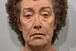 Vladimír Birgus, Toronto, 2012