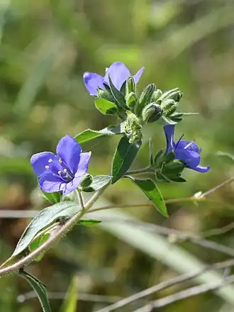 alternativní popis obrázku chybí