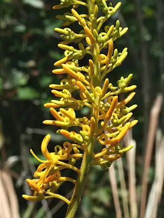 alternativní popis obrázku chybí