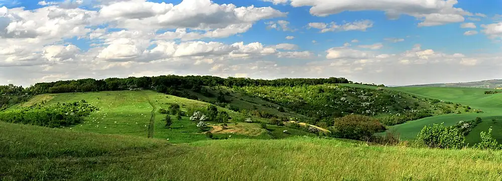 Panoramatický pohled na NPP