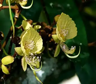 alternativní popis obrázku chybí