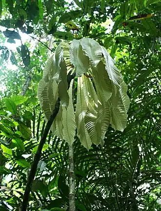 alternativní popis obrázku chybí