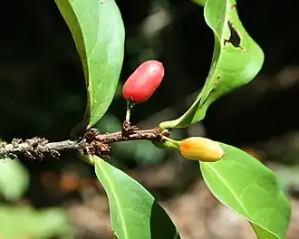 alternativní popis obrázku chybí