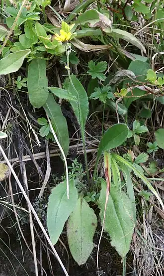 alternativní popis obrázku chybí