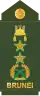 Brunej: armáda