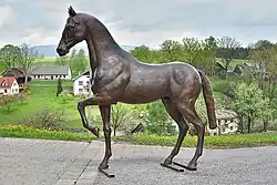 Akhal teke, bronz, 2015