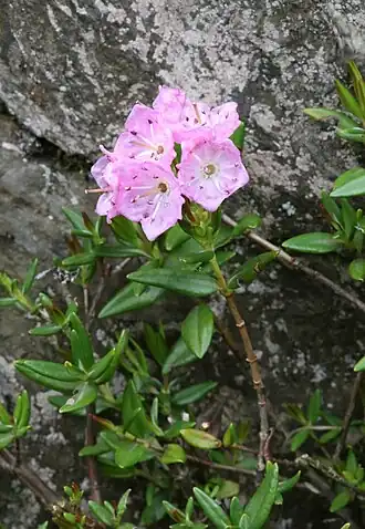 alternativní popis obrázku chybí