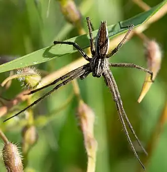 alternativní popis obrázku chybí