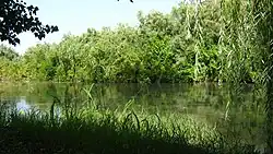 Mokřady v Şirvanském národním parku