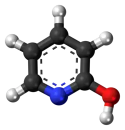 Model molekuly laktamové formy