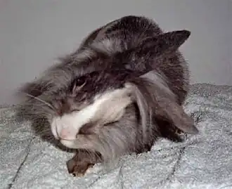 popis obrázku chybí