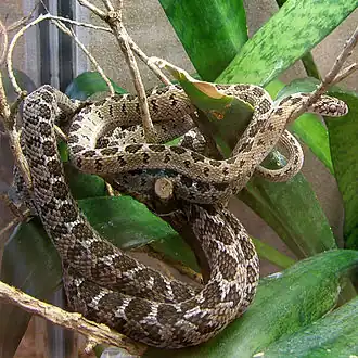 alternativní popis obrázku chybí