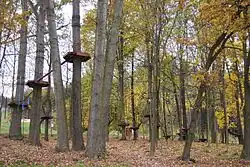 Lanový park ve sportovním areálu