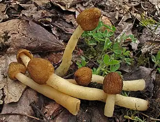 alternativní popis obrázku chybí