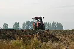 Čelní záběr na červený Zetor orající lán pole, v pozadí hradba stromů, v popředí se okolo traktoru prochází slepice