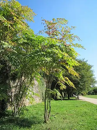 alternativní popis obrázku chybí