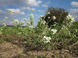 alternativní popis obrázku chybí