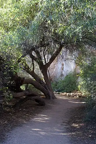 alternativní popis obrázku chybí