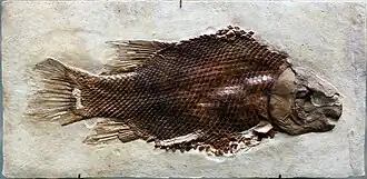 alternativní popis obrázku chybí