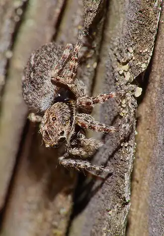 alternativní popis obrázku chybí