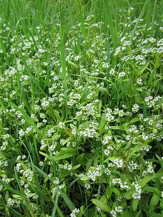 alternativní popis obrázku chybí