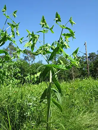 alternativní popis obrázku chybí