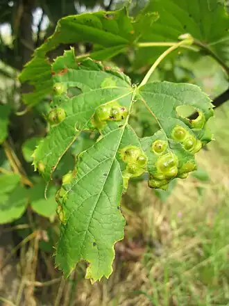 alternativní popis obrázku chybí
