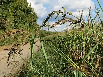 alternativní popis obrázku chybí