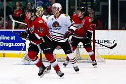 Collin Valcourt (vlevo) v dresu Abbotsford Heat, duben 2014