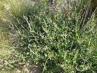 alternativní popis obrázku chybí