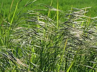 alternativní popis obrázku chybí