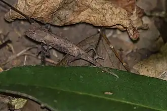 alternativní popis obrázku chybí